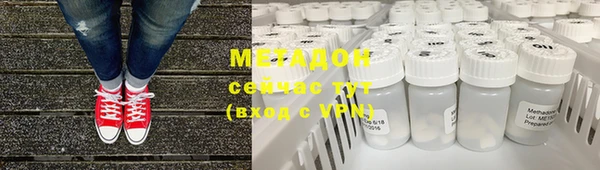индика Ладушкин