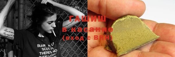 индика Ладушкин