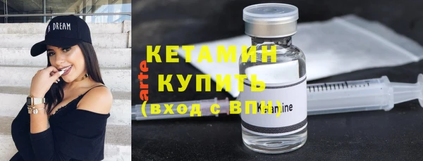 индика Ладушкин