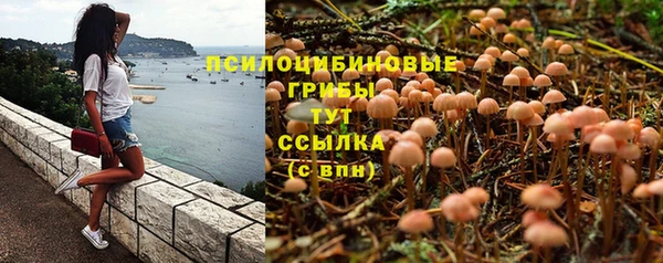 ALPHA PVP Лагань