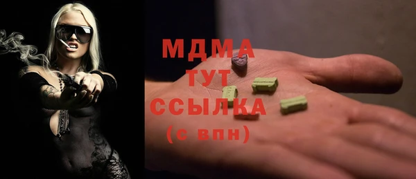 индика Калининец