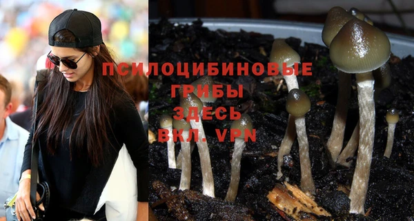 индика Ладушкин