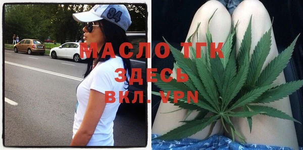 индика Ладушкин