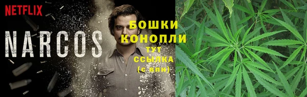 индика Ладушкин