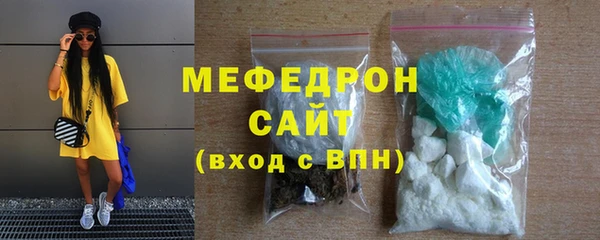 индика Ладушкин