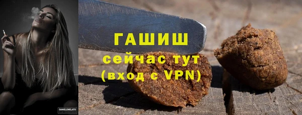 индика Ладушкин