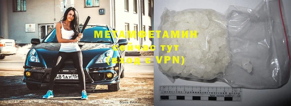 индика Ладушкин