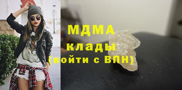 индика Ладушкин
