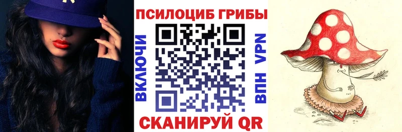 Галлюциногенные грибы Cubensis  даркнет сайт  Химки 